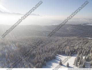 background winter nature forest 0015